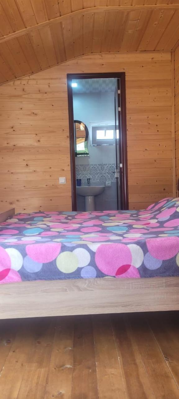 Guest House Guli 梅斯蒂亚 客房 照片