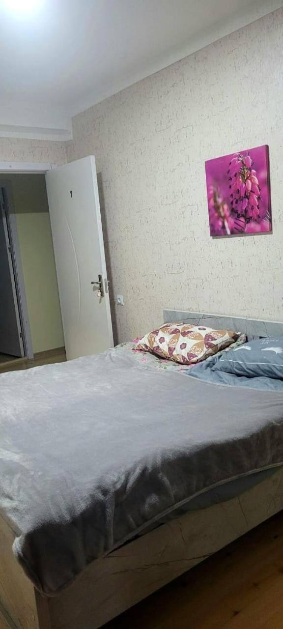 Guest House Guli 梅斯蒂亚 客房 照片