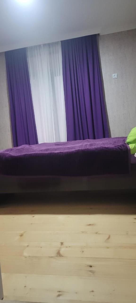 Guest House Guli 梅斯蒂亚 客房 照片