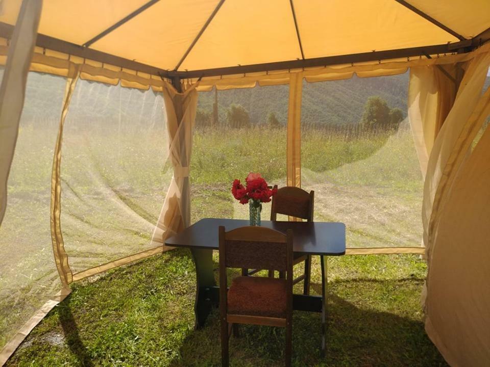 Guest House Guli 梅斯蒂亚 外观 照片
